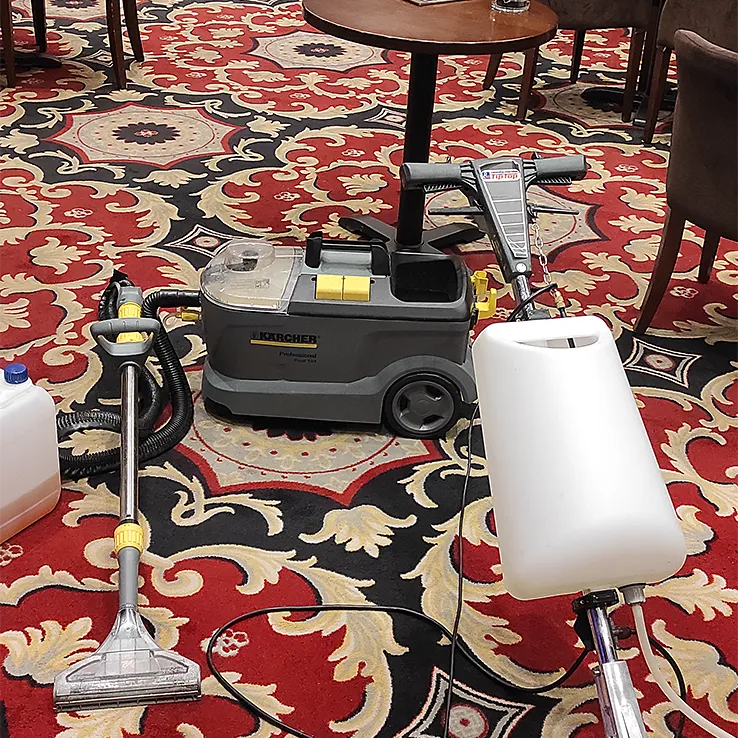 Profesionalno čišćenje itisona